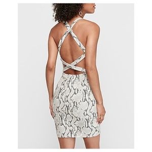 Express snakeskin dress